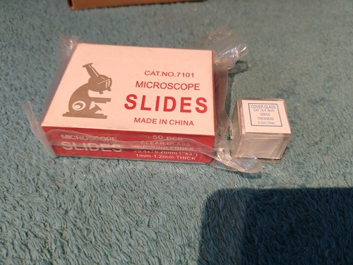50x microscope slides 7101 - microscope,