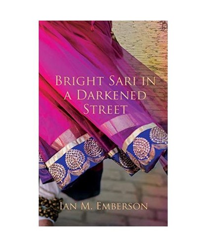 Bright sari darkened - sari,