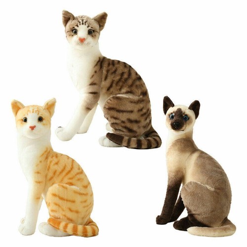 Lifelike cute realistic cat - cute,