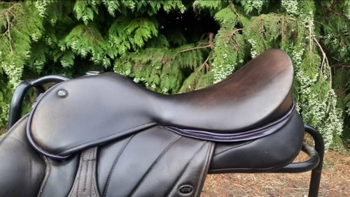Wow saddles size - wow,
