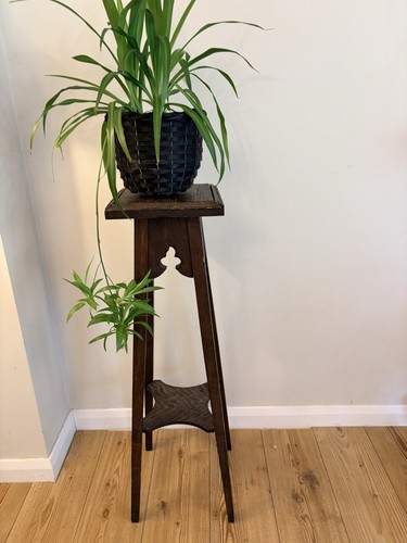 Vintage dark oak - oak, plant