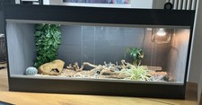 Complete Vivarium Setup –