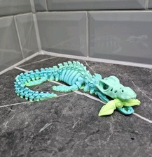 Skeleton Mosasaurus Dinosaur