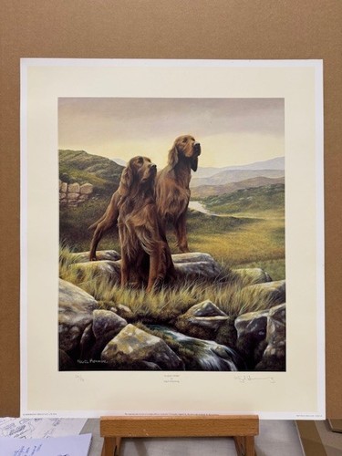 Nigel hemming gaelic pride - -,