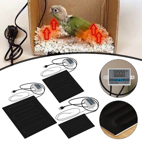 Reptile heating pad usb - pad,