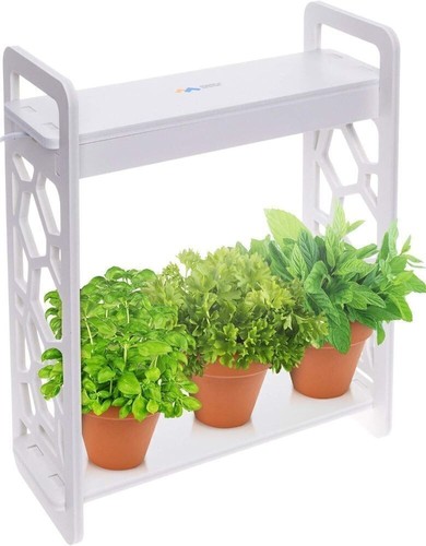 Led indoor herb - herb, garden