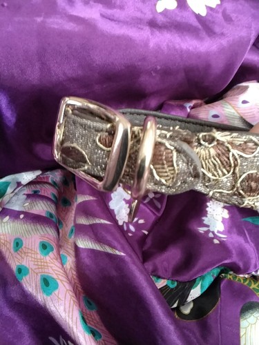 Show dog collar g - show,