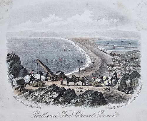 Antique hand colour engraving - antique,