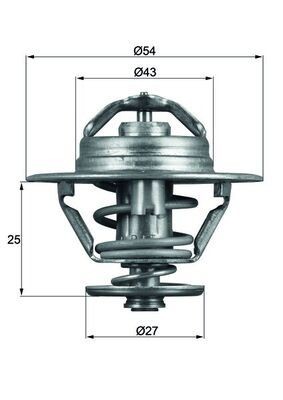 Coolant thermostat fits fiat - thermostat,