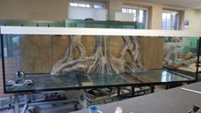 Large aquarium made to order