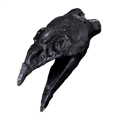 Aztec death whistle crow - whistle, crow's