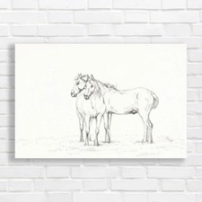 Majestic Horse Pair Canvas