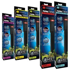 Fluval T-Series Aquarium