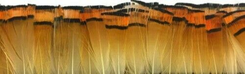 Fly tying golden pheasant - fly,