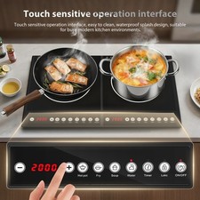 Dual single electric induction - electric,