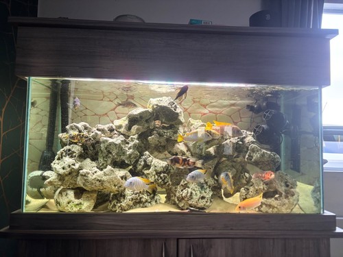 Aqua one oakstyle - aqua,