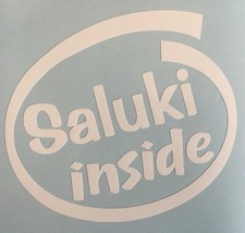 SALUKI INSIDE DOG PUP ON BOARD