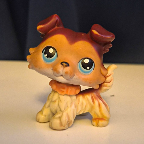 Lps collie paw down - #58,