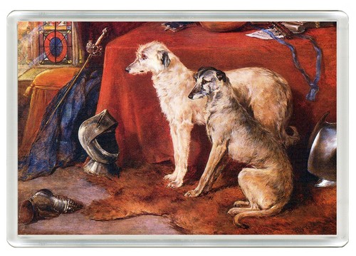Deerhound dogs dog - dog, fridge