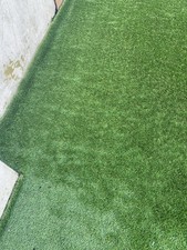  New premium Pet/child