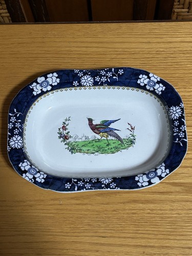 Rare spode chelsia - rare,