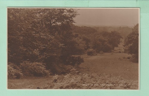 Hampshire postcard in - -,