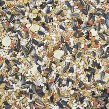 Higgins Vita Seed COCKATIEL