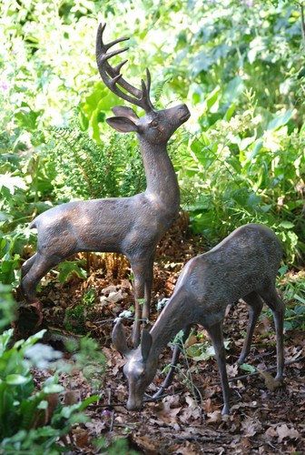 Large deers set - of, stag