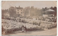 1904 RP Postcard Sheep Market Boston Lincolnshire by E W Peakome - A1056