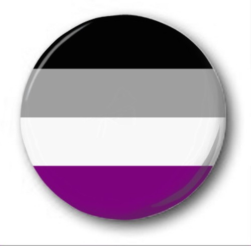 Asexual flag 25mm button - 1",