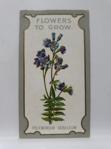 Lea cigarette card - r,
