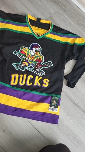 Mighty ducks ice hockey - ice,