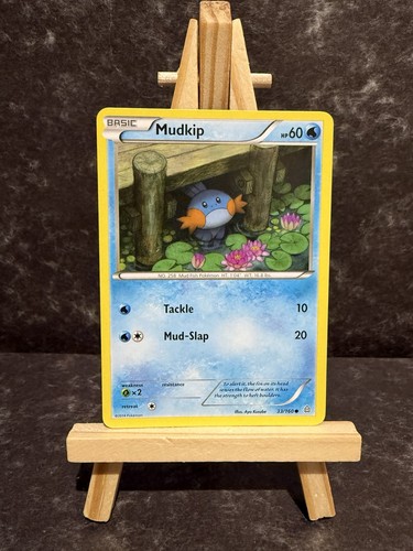 Pokémon tcg mudkip primal - -,