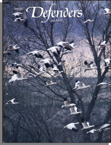 Defenders - wildlife),