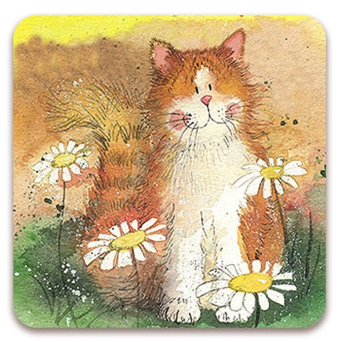 Cat card alex clark - cat, card,