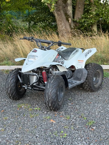 Quadzilla pro shark - shark, 100s