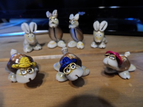 Beautiful sea shell animals - shell,
