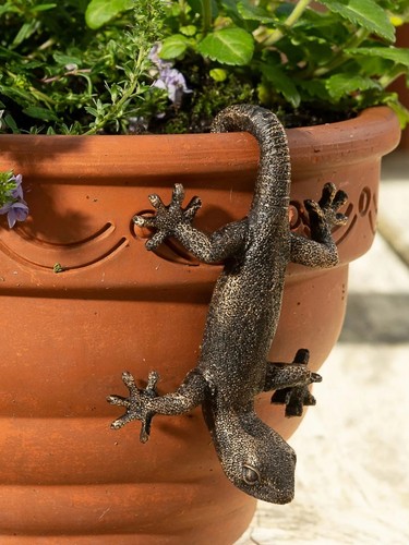 Lizard flower pot - lizard, resin