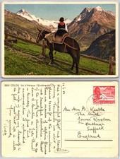 Val DHérens Mountain Horse