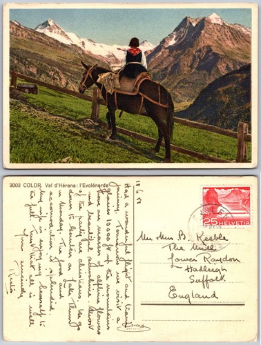 Val dhérens mountain horse - val,