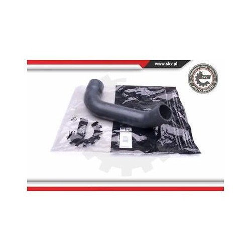 43skv194 esen skv - skv, air