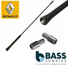 Renault Scenic Whip Bee Sting