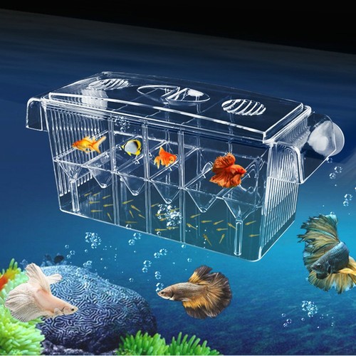 Large multi chamber holding - holding, &