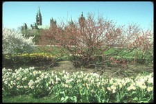 236054 Parliament Hill A4