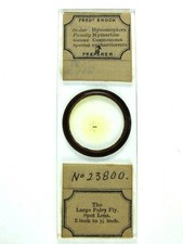 Antique microscope slide by Fred Enock. "The Large Fairy Fly".