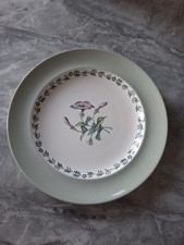 Vintage 1950s Spode Copeland