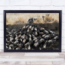 Wildebeests In Crossing Wildebeest River Kenya Wildlife Wall Art Print