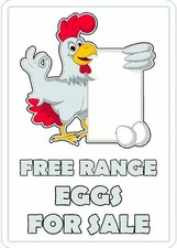 FREE RANGE EGGS FOR SALE