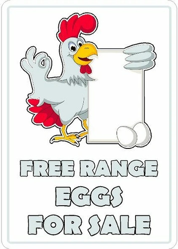 Free range eggs for - free, sale