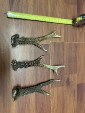 3 x Roe Deer Antlers